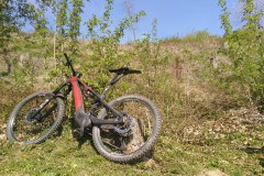 IMG_20210428_144507
